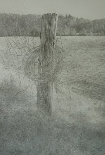 Gekreuzigt und Zurückgelassen